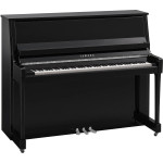 Yamaha B30 PEC