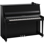 Yamaha B30 SC3 PEC