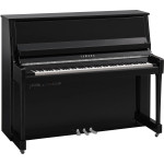 Yamaha B30 TC3 PEC