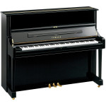 Yamaha U1 PE