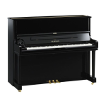 Yamaha DYUS1 EN ST PE