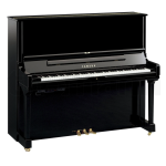 Yamaha YUS3 TA3 PE