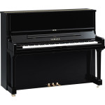 Yamaha SE122 PE