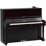 Yamaha SE122 SH3 PE