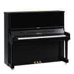Yamaha SE132 PE