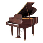 Yamaha GB1K PAW