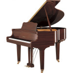Yamaha DGB1K EN ST PAW