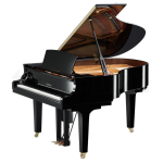 Yamaha DGC1 EN ST PE