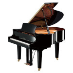 Yamaha C1X PE