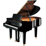Yamaha C1X SH3 PE