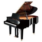 Yamaha C2X SH3 PE
