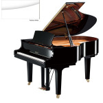 Yamaha C2X PWH