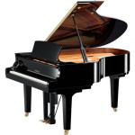 Yamaha DC3X ENPRO PE
