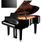Yamaha C3X SE