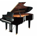 Yamaha C6X SH3 PE