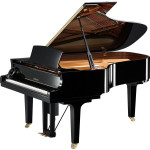 Yamaha DC6X EN PRO PE