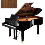 Yamaha C6X SAW