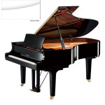 Yamaha C6X PWH