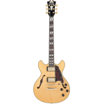 DAngelico Deluxe Mini DC...