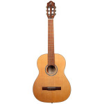 Ortega RCE24RO