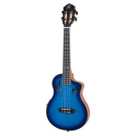 Ortega RTPX-U-FMA