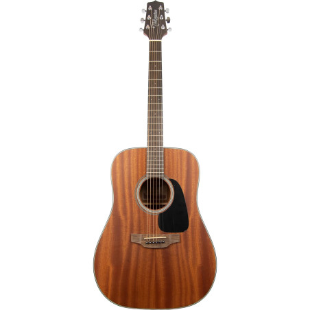 Takamine GD11M NS