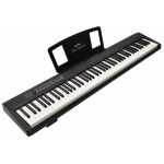 Ars Nova GS-100