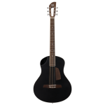 Prodipe Guitars KAP Yarol...