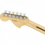 Fender American Performer Stratocaster RW AWT
