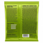 Ernie Ball EB-2832