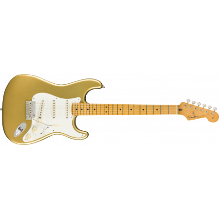 Fender Lincoln Brewster Stratocaster MN AG