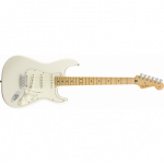 Fender Player Stratocaster MN PWT