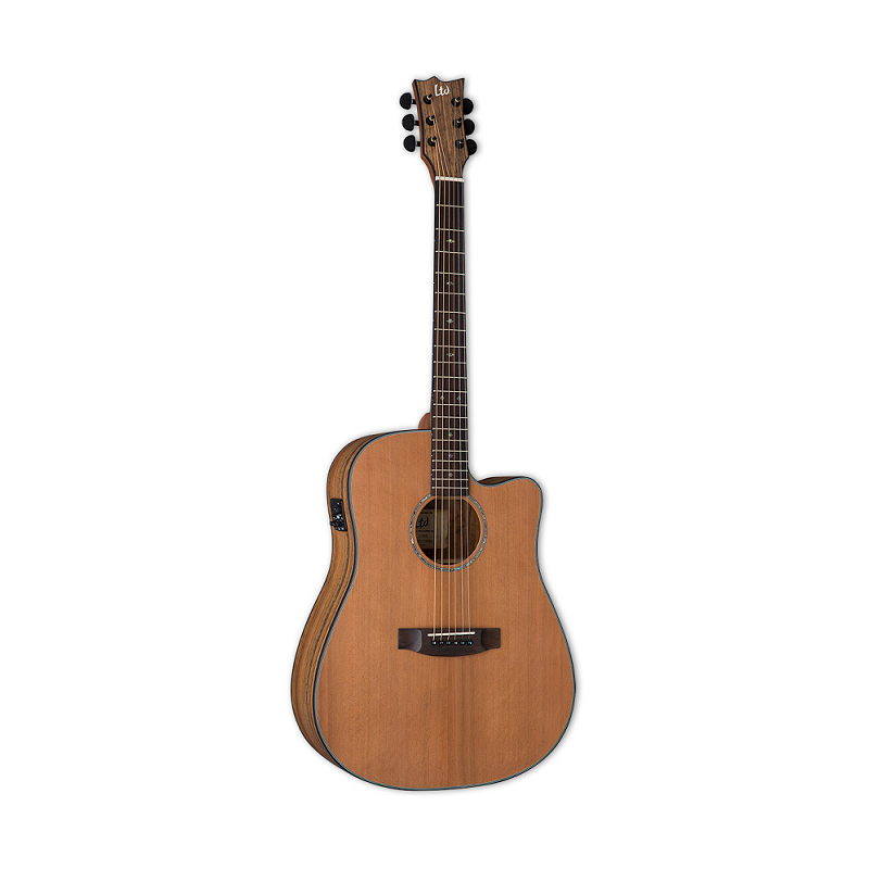 ESP LTD D-320E NS
