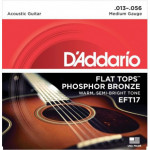 D'Addario EFT17 - Flat Tops 13-56