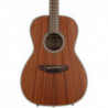 Takamine GY11ME-NS