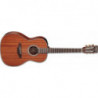 Takamine GY11ME-NS