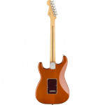 Fender Player Stratocaster PF AGN