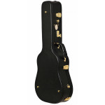 Ever Play F-532 Deluxe Acoustic Case