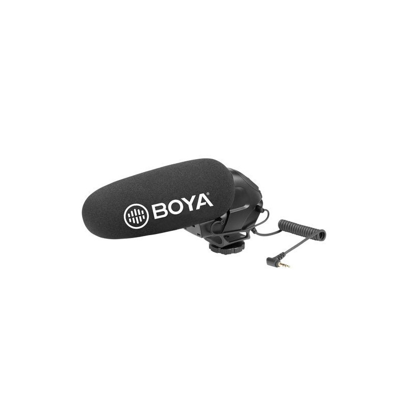 Boya BY BM3031