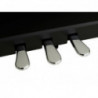 Kawai CA79 EP