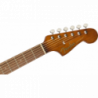Fender Newporter Player SB
