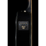 Ibanez AEWC400 TKS