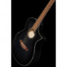 Ibanez AEWC400 TKS