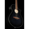 Ibanez AEWC400 TKS