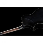 Ibanez AEWC400 TKS