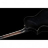 Ibanez AEWC400 TKS