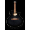 Ibanez AEWC400 TKS