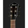 Ibanez AEWC400 TKS