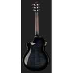 Ibanez AEWC400 TKS
