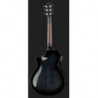 Ibanez AEWC400 TKS